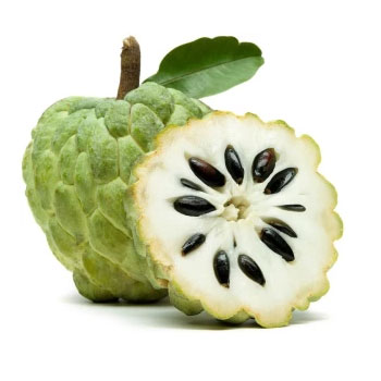 Apple Granny Smith