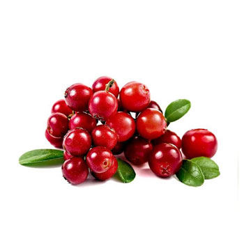 Cranberry