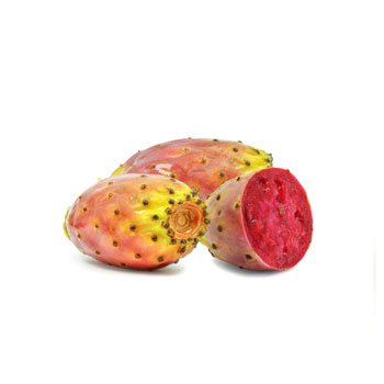 Cactus Figs