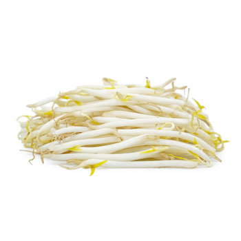 Beans Sprout