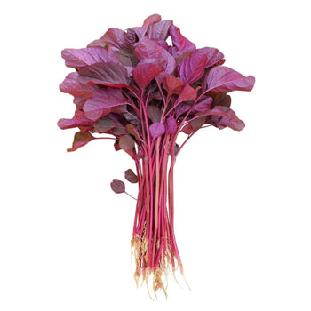 Red Cheera
